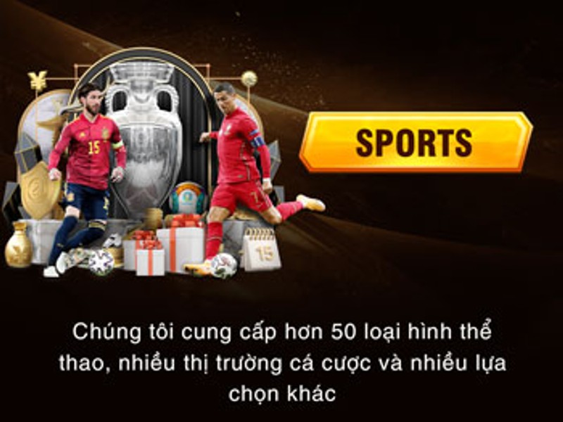 Cá cược thể thao vin68